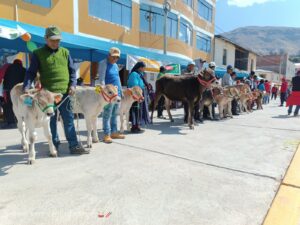 ANDAMARCA_008